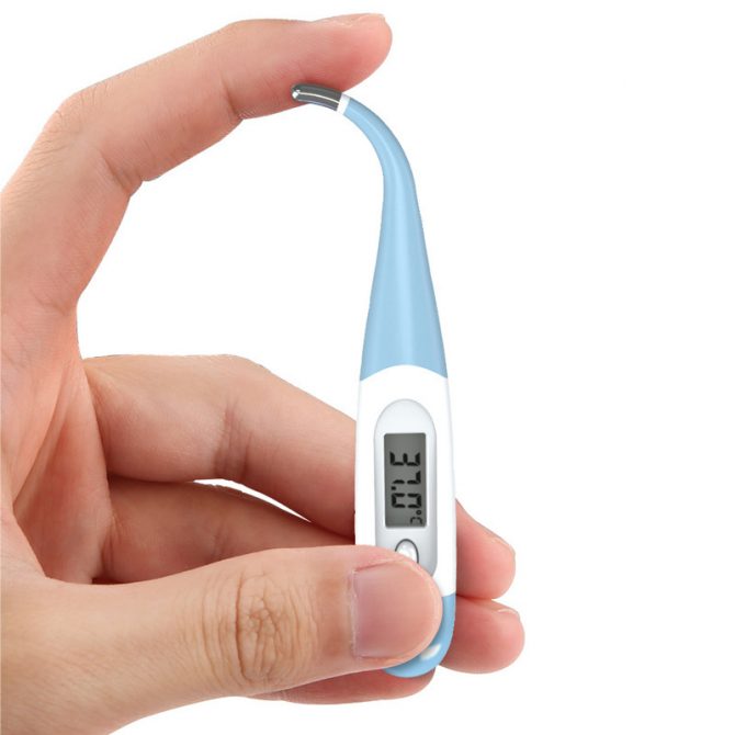 flexible digital thermometer